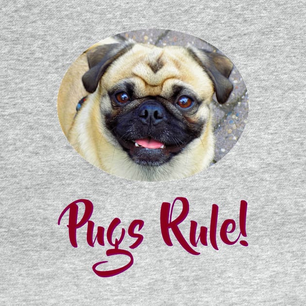 Pugs Rule! by Naves